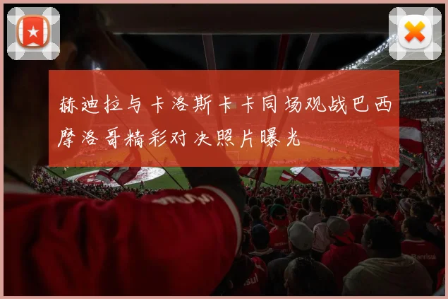 赫迪拉与卡洛斯卡卡同场观战巴西摩洛哥精彩对决照片曝光