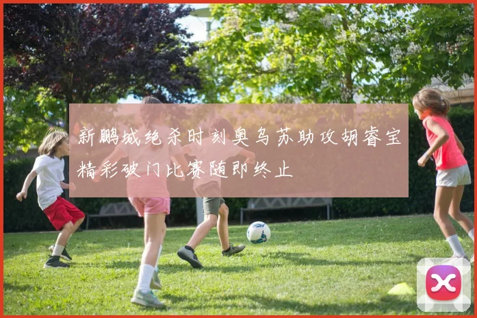 新鹏城绝杀时刻奥乌苏助攻胡睿宝精彩破门比赛随即终止